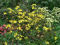 20-05-2006_07-13-21_157