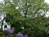 20-05-2006_08-38-31_47