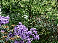 20-05-2006_08-39-02_56