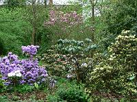 20-05-2006_08-40-48_86