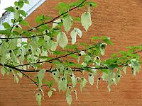 20-05-2006_08-41-30_97