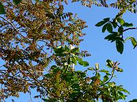 2008-05-22_04-57-39_0238