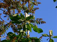 2008-05-22_04-57-39_0241