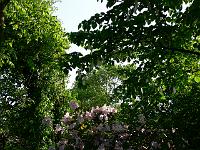 2008-05-29_07-12-06_0048