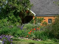 2008-05-29_10-11-33_0008