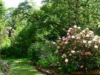 2008-05-29_11-05-15_0022