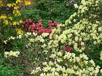 21-05-2006_16-49-13_32