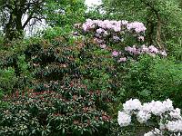 21-05-2006_16-56-27_150