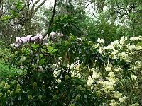 21-05-2006_16-57-18_164