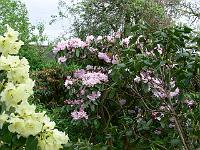 21-05-2006_17-41-07_10