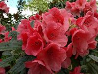 21-05-2006_20-46-47_70