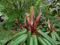 24-05-2006_18-34-36_188