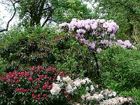 25-05-2006_09-16-17_60