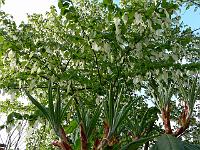 26-05-2006_09-05-12_270