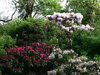 26-05-2006_19-16-18_53