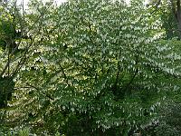 26-05-2006_19-16-36_58