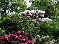 27-05-2006_18-37-49_142