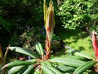 30-05-2006_10-19-54_140