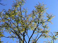 30-05-2007_18-04-51_131