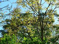 30-05-2007_18-05-02_134