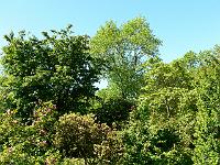 31-05-2006_12-51-30_319