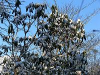 05-03-2006_08-41-14_84