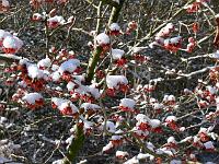 05-03-2006_11-09-09_18