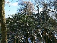 05-03-2006_12-47-54_71