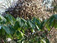 05-03-2006_14-29-42_25