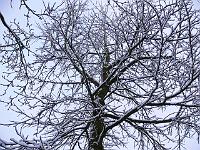 06-03-2006_18-24-06_44