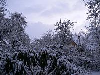 06-03-2006_18-25-24_65