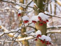 07-03-2006_08-26-20_08