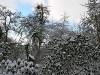 07-03-2006_08-28-50_48