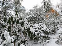 07-03-2006_08-29-19_56