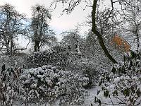 07-03-2006_08-29-34_60