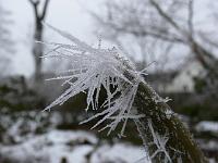 2010-03-09_11-15-20_0031