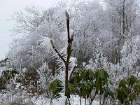 2010-03-09_11-27-23_0109