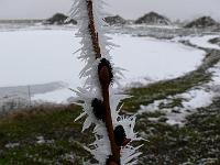 2010-03-09_11-35-43_0168