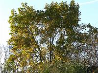 07-11-2006_14-47-27_35