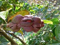 10-11-2006_10-36-24_19