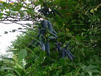 09-10-2006_15-33-32_16