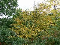 24-10-2006_15-14-47_51