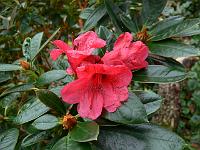 28-10-2006_14-04-02_32