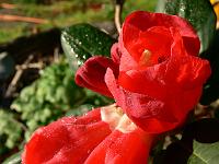 2008-09-25_08-16-05_0112