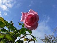 27-09-2006_15-28-41_09