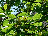 08-06-2006_12-37-41_19