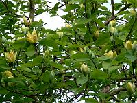 10-05-2007_15-44-20_10