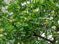 12-05-2007_18-20-12_49