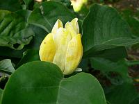 17-09-2006_15-38-07_08