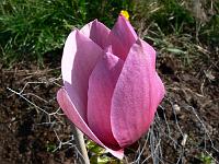 2011-04-30_07-47-24_0013